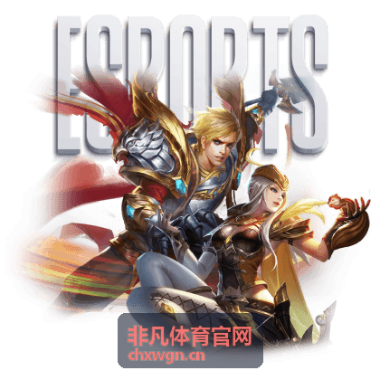 非凡体育官网票务与观赛服务
